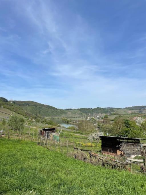 Ferienwohnung Moselsteig Reil Esterno foto